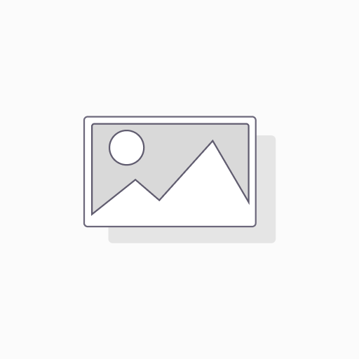 AI Chatbot (Text Version)